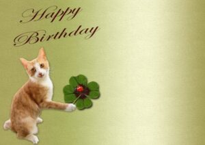 funny happy birthday images