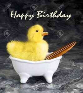 funny happy birthday images 