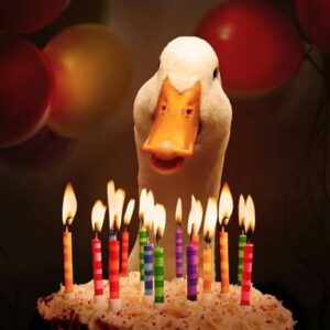 funny happy birthday images