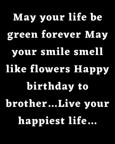 Best Birthday Wishes For Brother