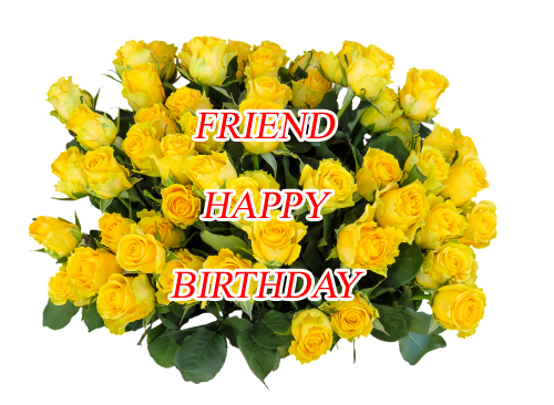 Friend Happy Birthday