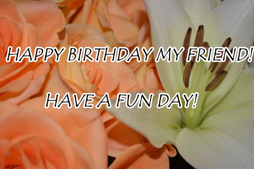 Friend Happy Birthday