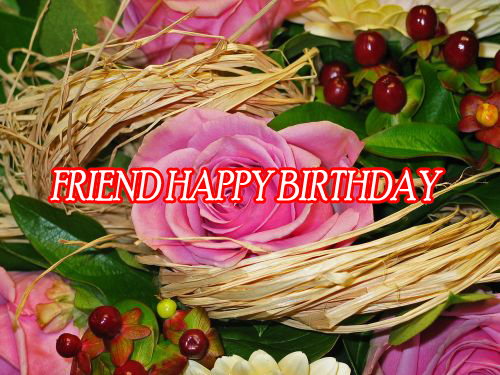 Friend Happy Birthday