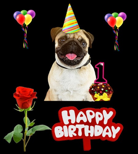 Beautiful Happy Birthday Images Download