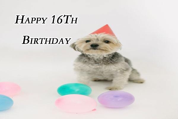 Happy 16Th Birthday Images 