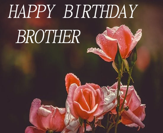 Top Birthday Wishes for Brother