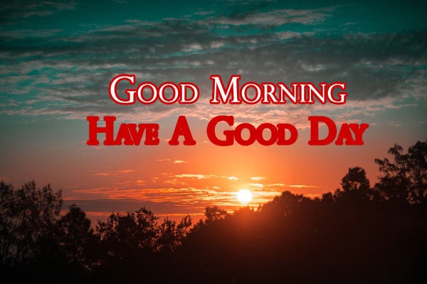 Good Morning Photo HD