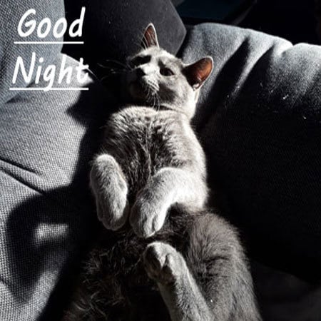 Good Night Images