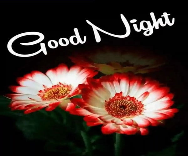 Good Night Images HD Download