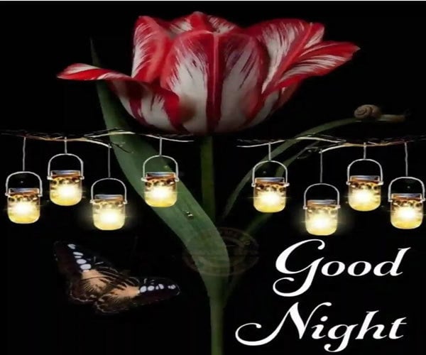 Good Night Photo Download