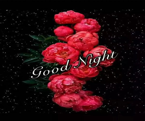 Good Night Photo HD