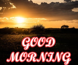 Beautiful Good Morning Images Hd 1080p Download