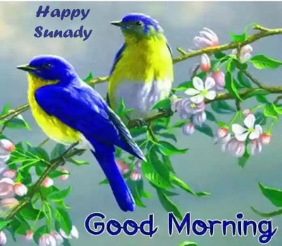 Download Good Morning Happy Sunday Images HD