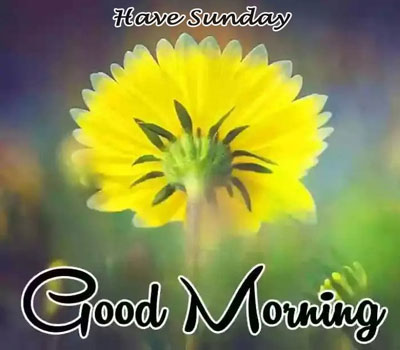 Good Morning Happy Sunday Hd Images Download