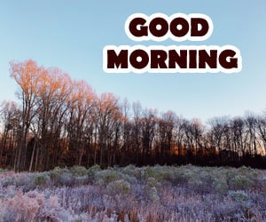 Good Morning Images 1080p Hd