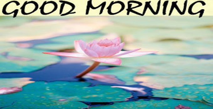 Good Morning Images Hd 1080p Download