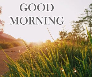 Good Morning Pictures 1080p Download