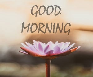 Good Morning Pictures Hd 1080p Download