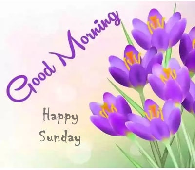 Good Morning Sunday Images Hd