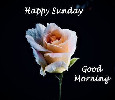 Sunday Good Morning Images Wallpaper Pics HD