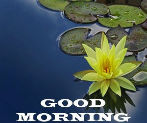 Top Good Morning Images Hd 1080p