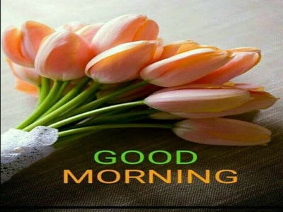 good morning image 12 good morning image