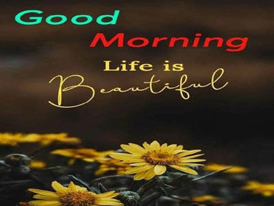 good morning image 13 good morning image