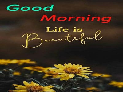 Best Good Morning Image | Good Morning Images HD Download