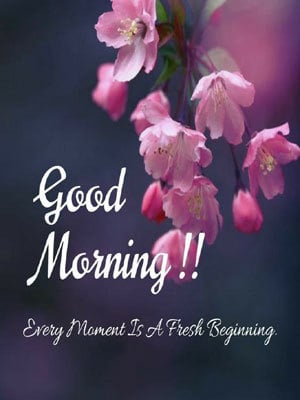 good morning image 21 good morning image