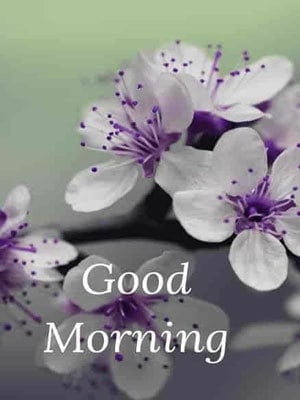good morning image 22 good morning image