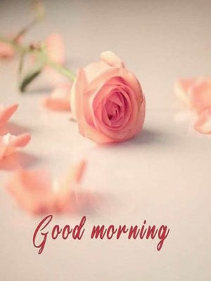 good morning image 23 good morning image