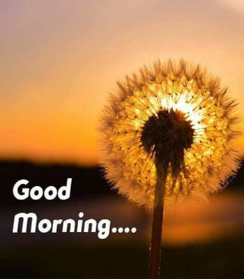 good morning image 24 good morning image