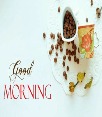 Best Good Morning Image | Good Morning Images HD Download