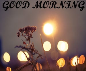 good morning photo 1080p download hd