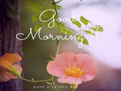 good morning pictures 3 good morning pictures 3