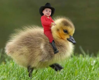Cute Baby Whatsapp DP Images Pics Download Cute Baby Whatsapp DP Images Pics Download