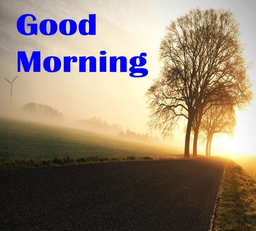 Download Good Morning Photo Hd