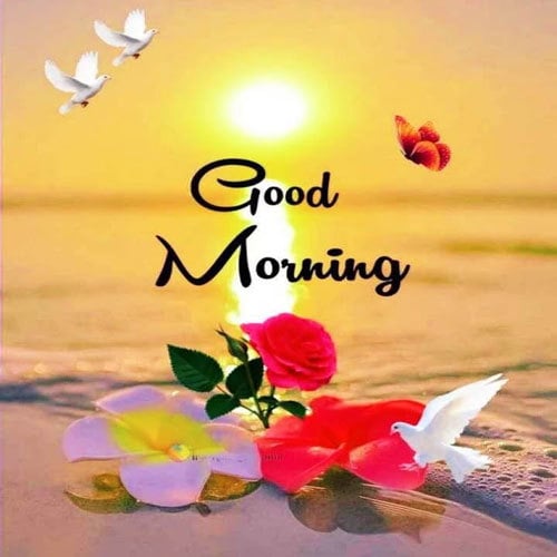 Latest Good Morning Wallpaper For WhatsApp HD Download