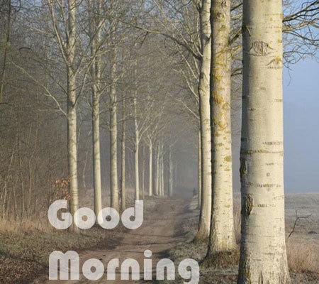 Good Morning Images Hd Download
