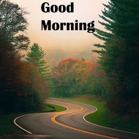 Good Morning Photos HD