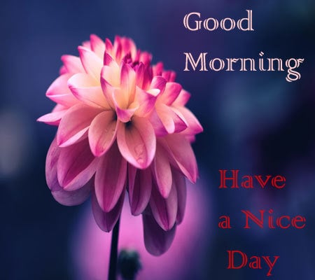 Good Morning Pics Hd