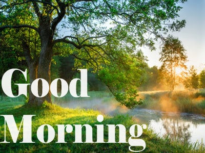 Latest Good Morning Wallpaper For WhatsApp HD Download