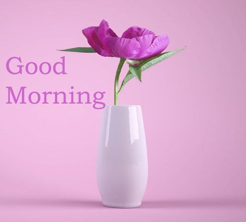 Good Morning Pictures Download Hd