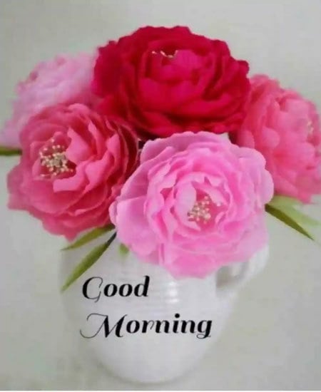 Good Morning Wishes Pictures download