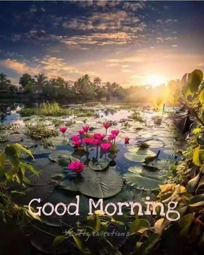 Good Morning Wishes Pictures