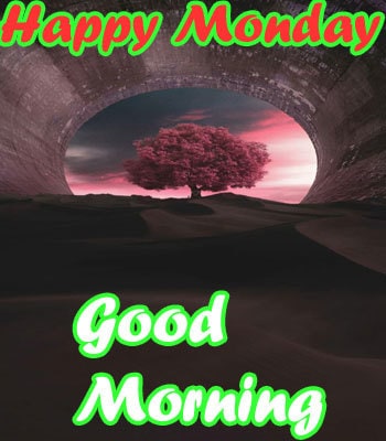 HD Happy Monday Good Morning Wallpaper Download