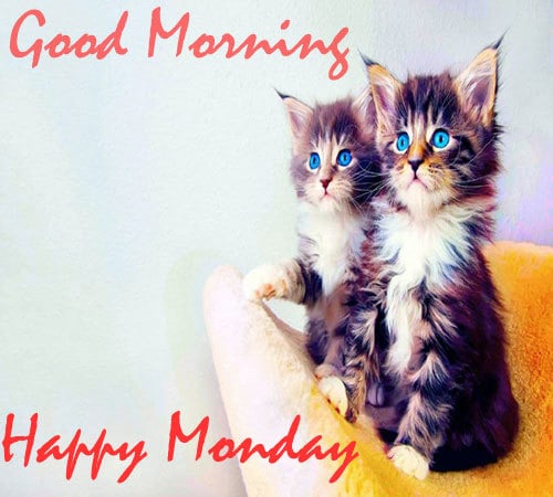 Happy Monday Good Morning Images For Whatsapp Happy Monday Good Morning Images For Whatsapp