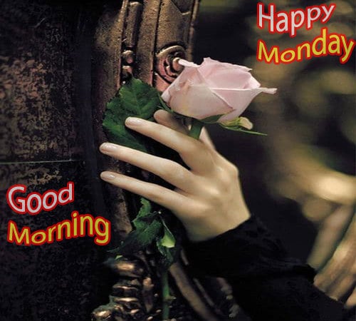 Happy Monday Good Morning Pics