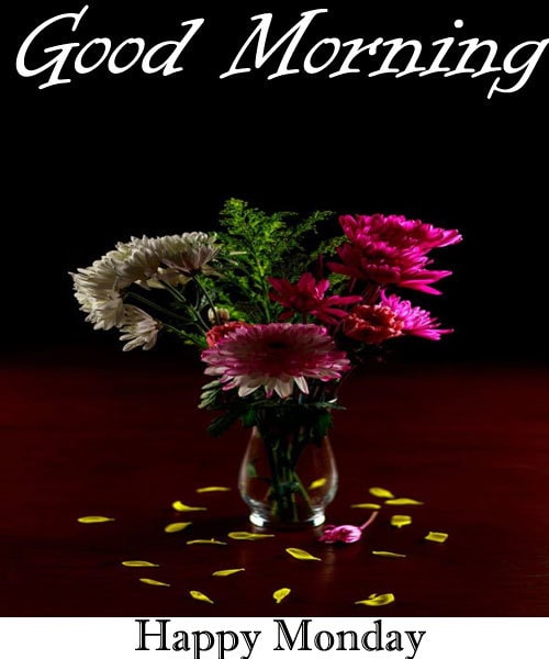 Happy Monday Good Morning Wallpaper Hd Happy Monday Good Morning Wallpaper Hd