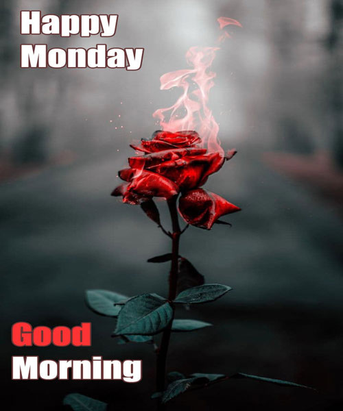 Hd Happy Monday Good Morning Wallpaper